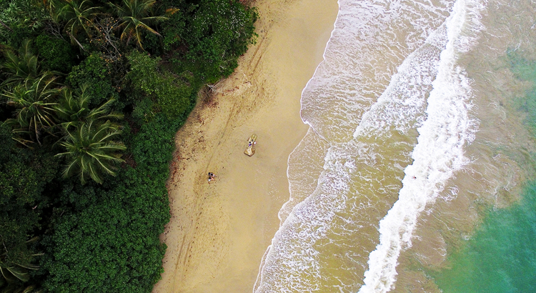 Costa Rica Palmenstrand aus der Vogelperspektive